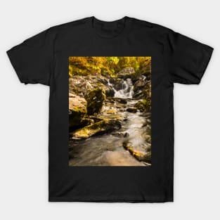 Autumn in a Lake District beck T-Shirt